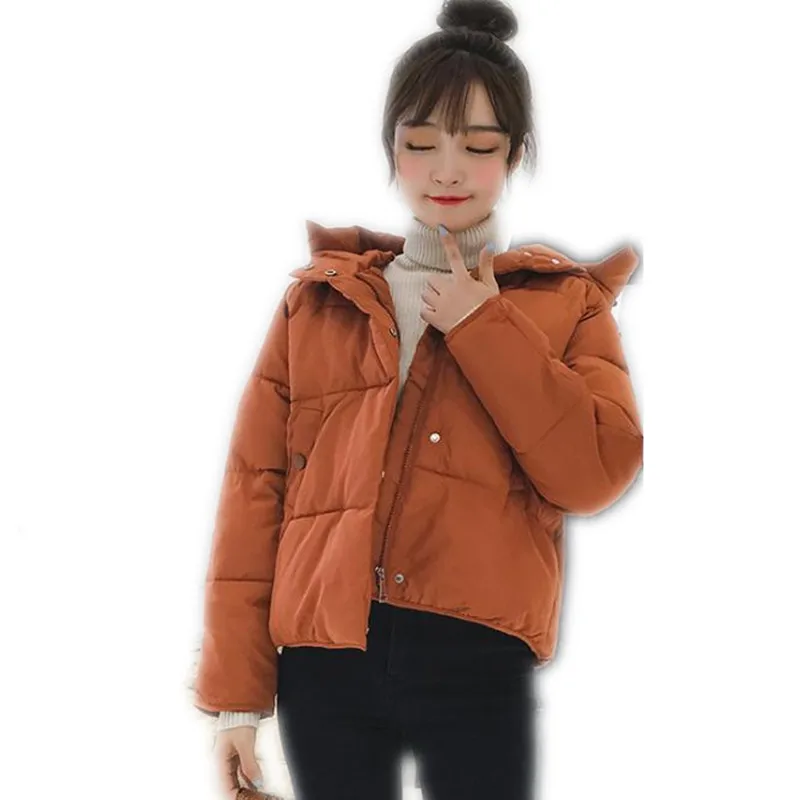 Fashion Hooded Autumn Winter Women Short Parkas 2019 Women