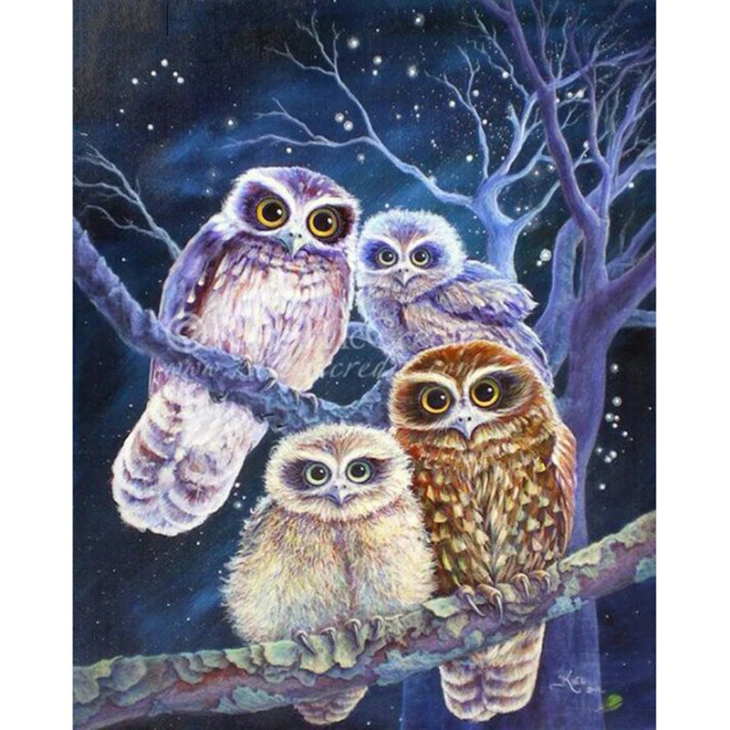 Full Square/Round DIY Diamond Embroidery Owls 5D Painting Rhinestone Mosaic Decor HYY | Дом и сад