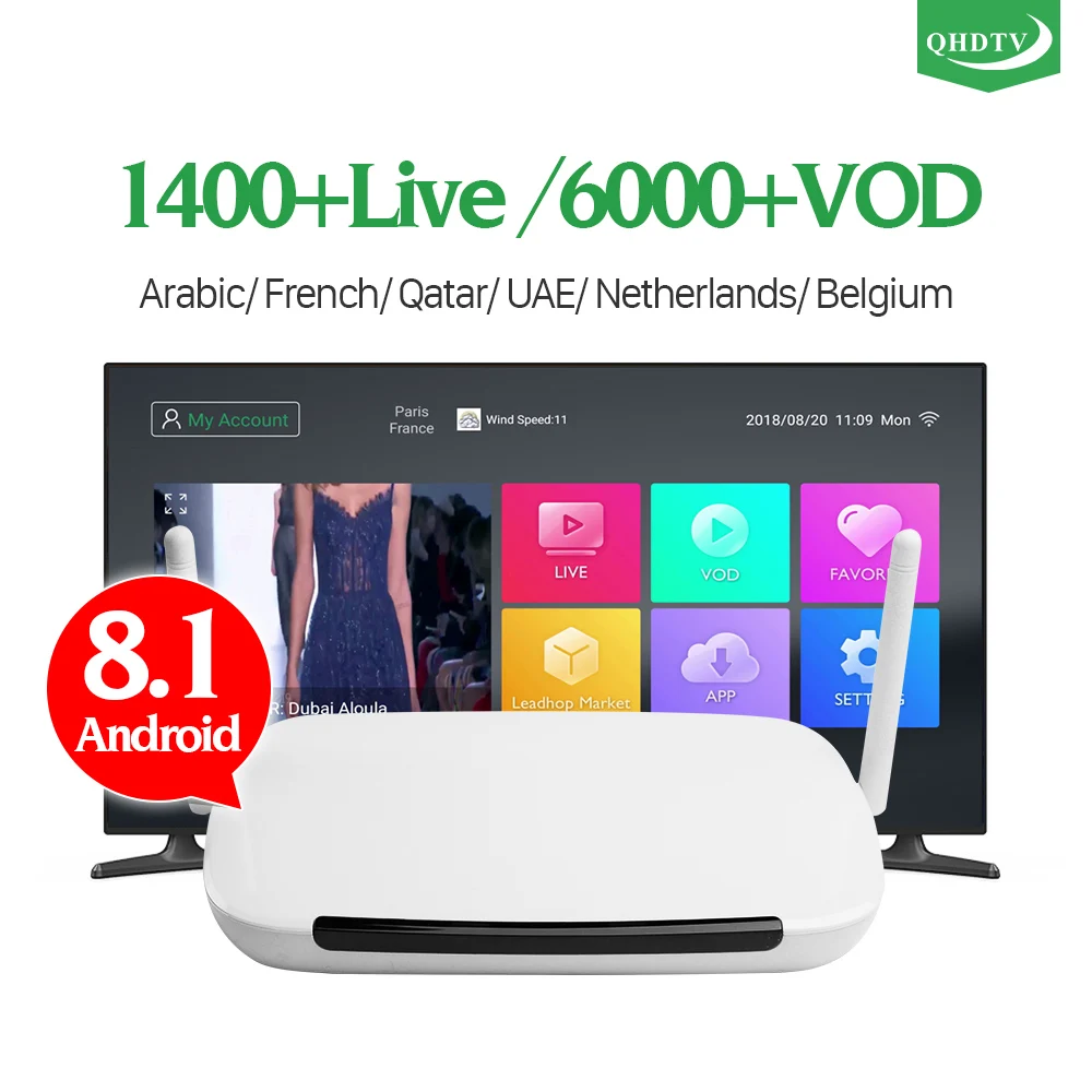 IPTV Subscription France IPTV Arabic Android 8.1 QHDTV IPTV Box Leadcool Q9 1+8G 2.4GHz WIFI Netherlands Belgium French IPTV Box