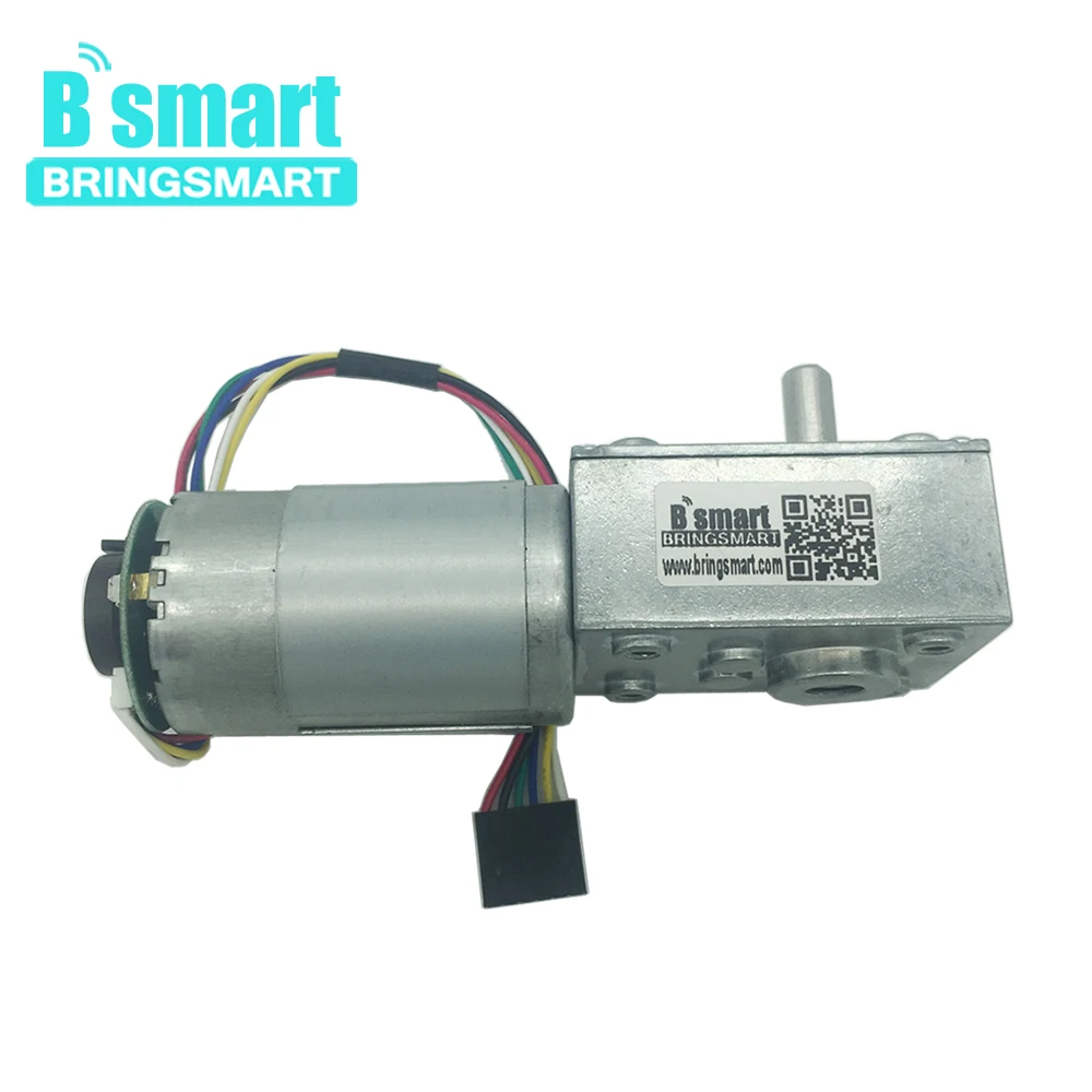 

Bringsmart A58SW-555B 12V Worm Gear Motor And Gear Motor Dc 24v With Motor Encoder And Self-Locking For DIY,Robot,Rotating Table