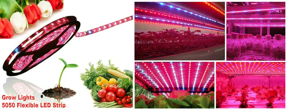LED Plant Grow Lights  14