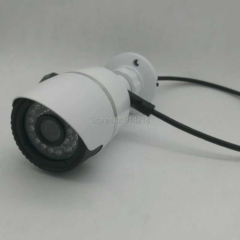 2mp010.jpg