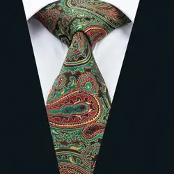Dh-1670barry.wang шелк Для мужчин Галстук Классический галстук Для мужчин S Галстуки и платок Наборы для ухода за кожей Зеленый Пейсли Бизнес