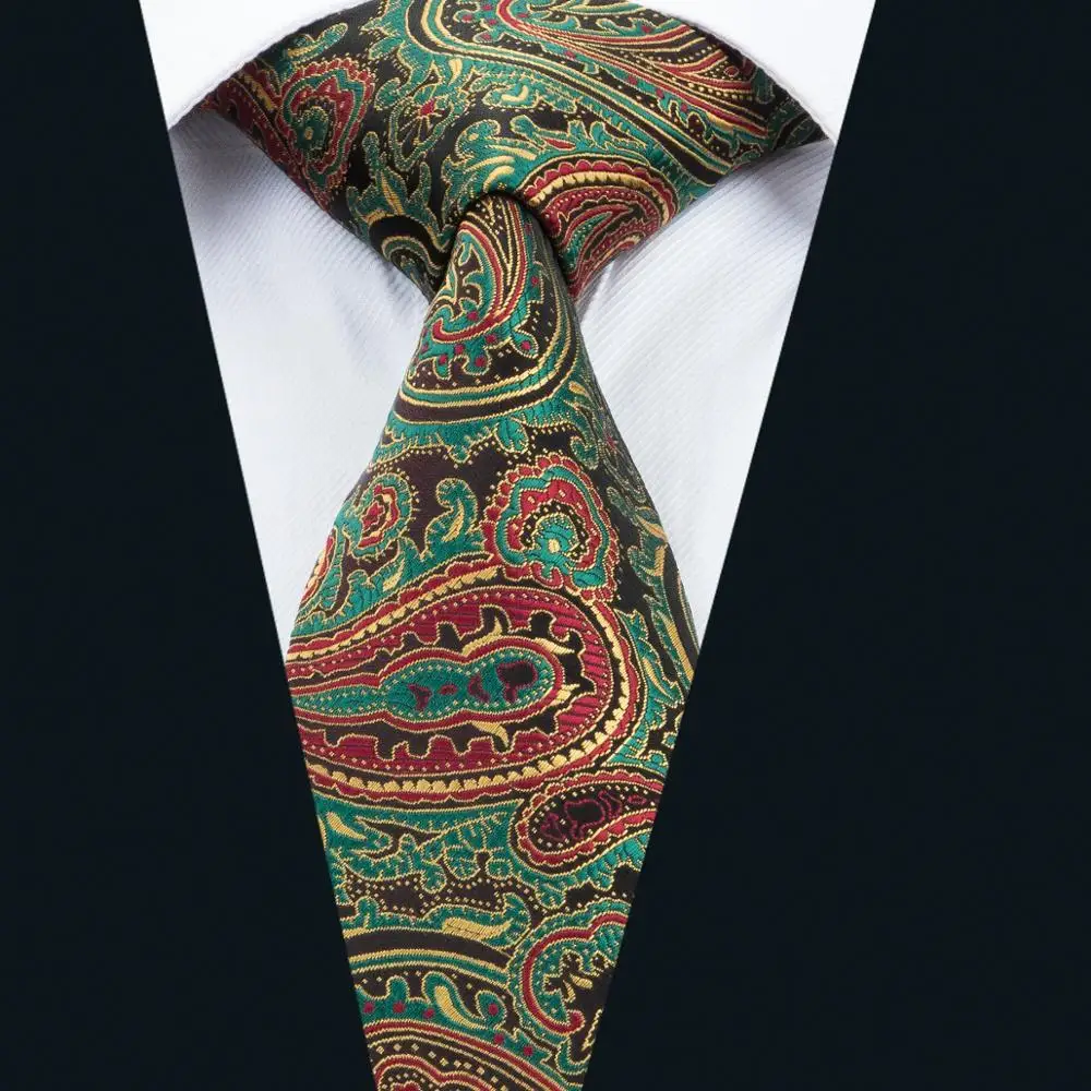 DH 1670Barry.Wang Silk Men Tie Classic Necktie Mens Ties and