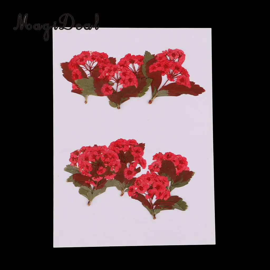 10pcs Red Flower Natural Real Pressed Dried Flower for Jewelry Making Handmade DIY Resin Ornament Crafts