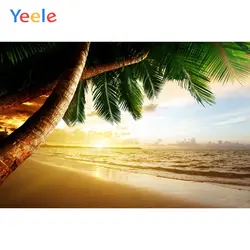 Yeele Sky Sunrise облака Море пляжное пальмовое дерево Праздничная фотография фоны индивидуальные фотографические фоны для фотостудии