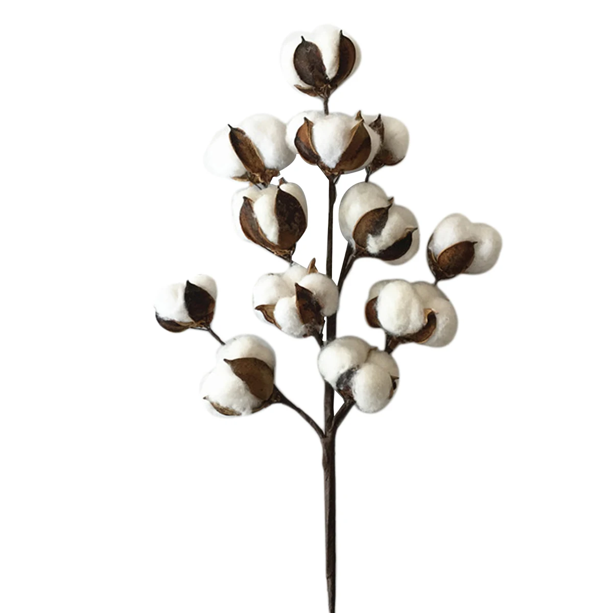 1pcs 50cm Cotton Stems Decorative Rustic 12 Cotton Boll Cotton Branch