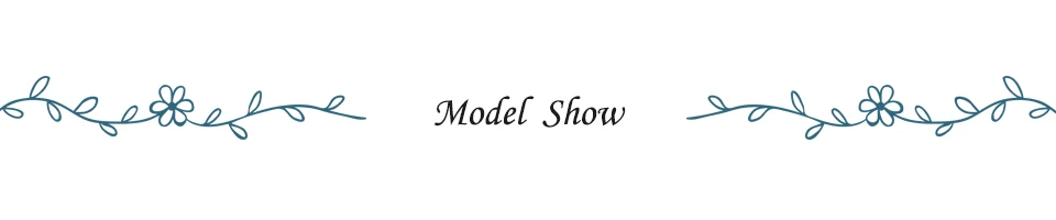 2.Model Show