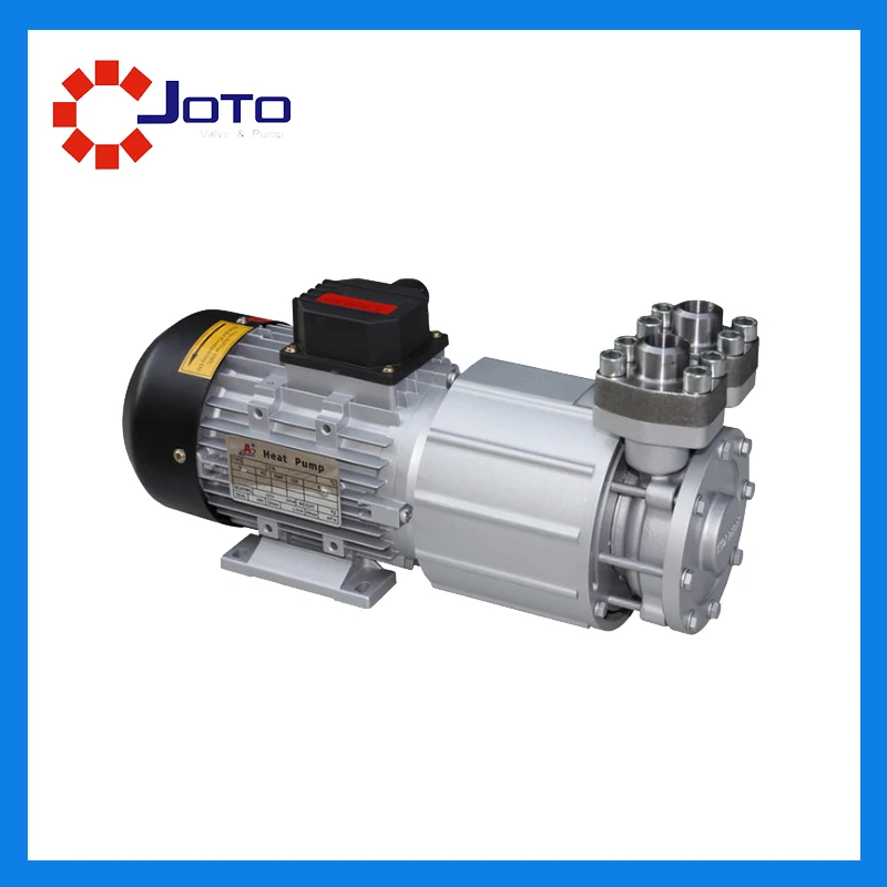 

Mould temperature control machine Stainless Steel Heat Tolerant Magnetic Pump Efficient No Leakage High Temperature Vortex Pump