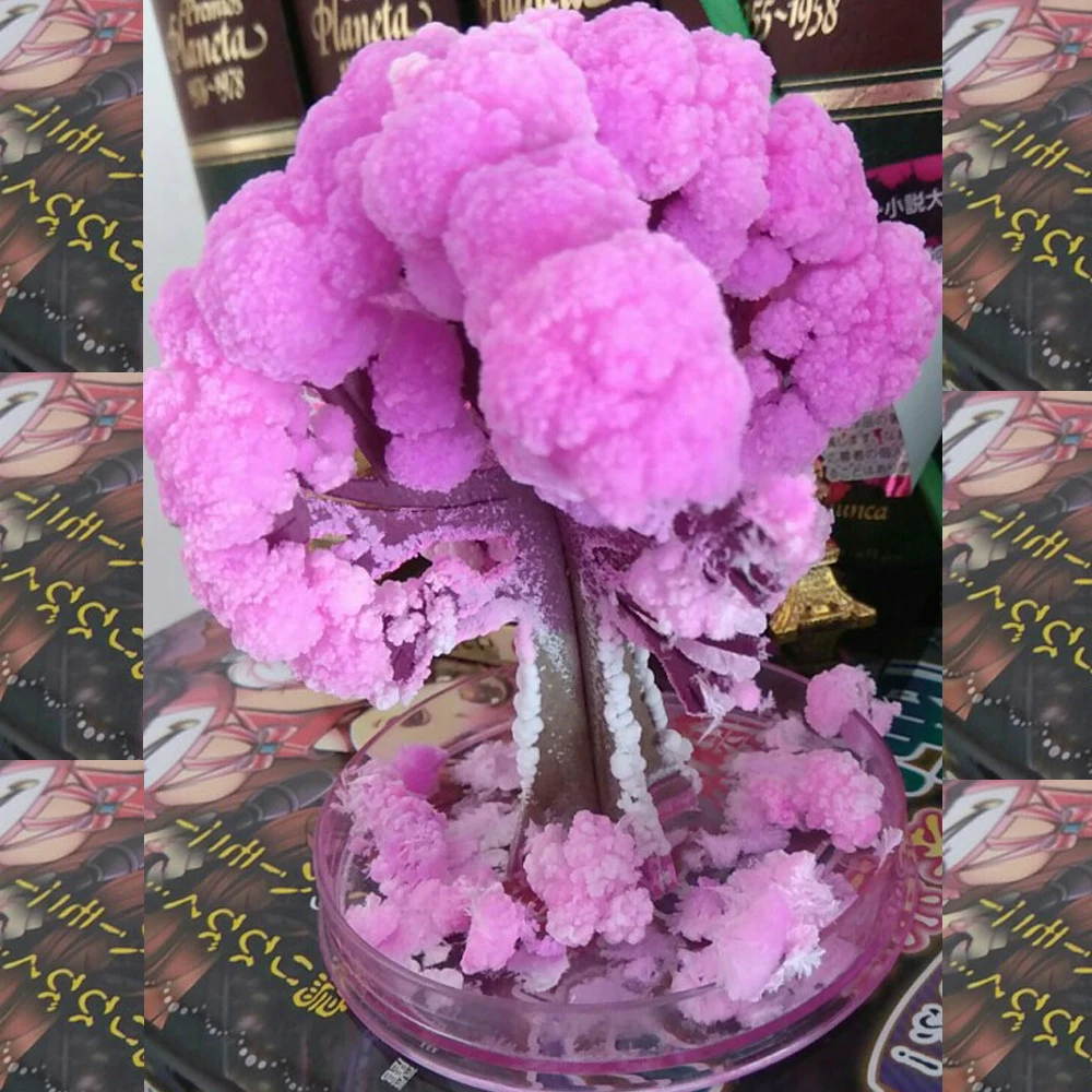 

20PCS 2019 9Hx8Wcm Artificial Paper Sakura Trees Magic Growing Tree Japan Desktop Cherry Blossom Educational Toys For Children