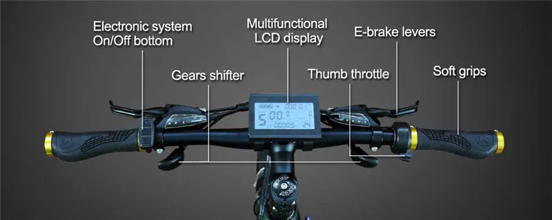 36v 9ah Folding Electric Mountain Bike