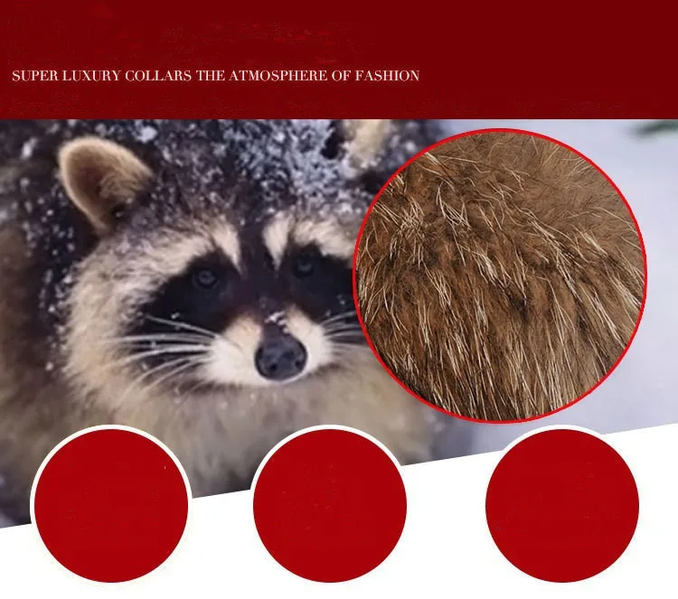 6_