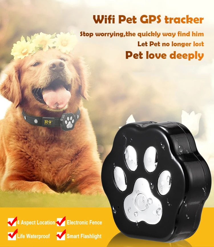 Pet Location Tracker with Quad GPS WIFI LBS GPRS Mode 4 LED Flashlight in Night Free APP Cloud Storage for Track Data Playback_F1