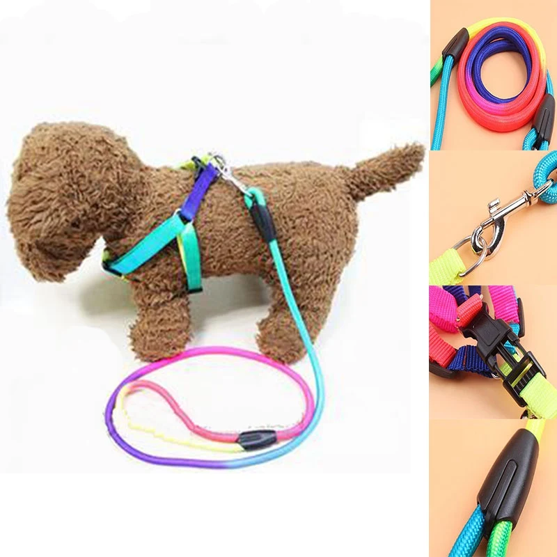 Strong Nylon Rainbow Color Dog Walking Slip Lead Collar Rope YW40145