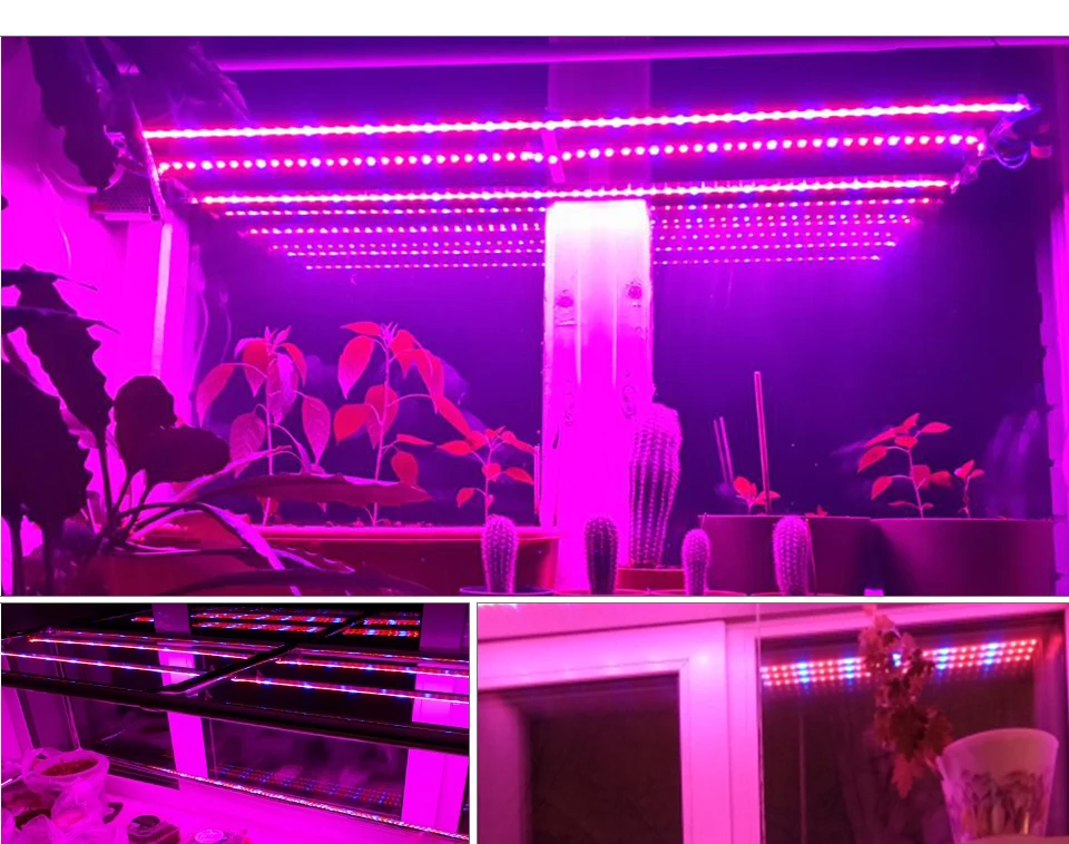Plant Grow Lights Full Spectrum LED Strip 12V Flowers Phyto Lamp 5M Dimmable Red Blue For Greenhouse Hydroponic + Power Adapter (13)