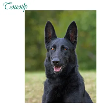

DIY 5d diamond painting black German Shepherd full dog diamond embroidery square&round diamond mosaic full paste pattern Beads