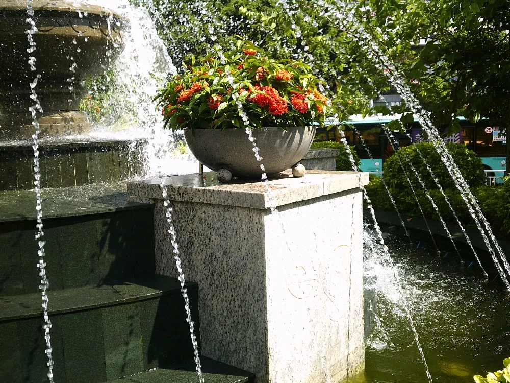 DSCF0009
