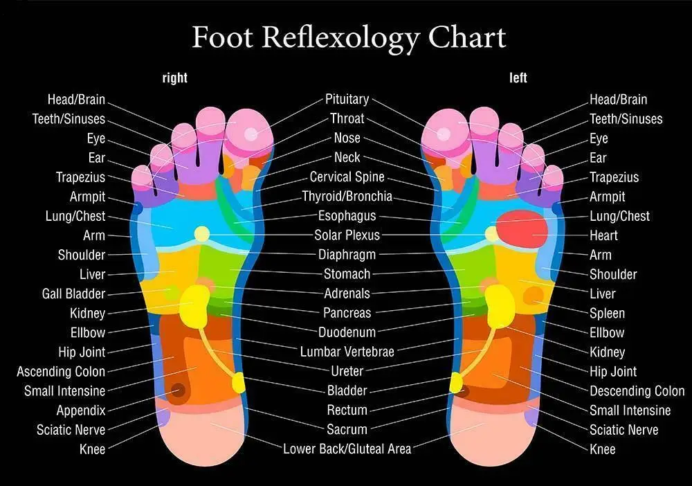 

Foot Reflexology Chart SILK POSTER Decorative painting 24X36INCH