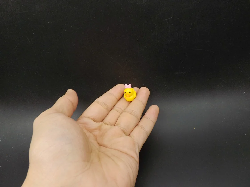 Tiny-A127-Duck (5)