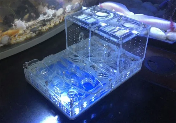 ant-housings (5)