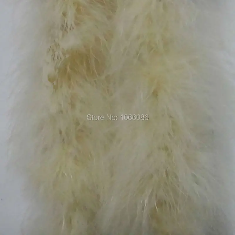 DSC02664