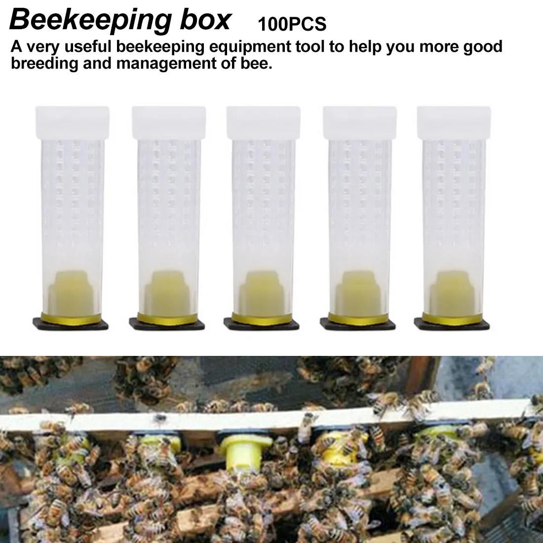 

100pcs Set queen rearing system plastic bee cell cups queen cage bee cell cupCultivating box beekeeping tool