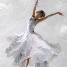 Белая юбка танцор DIY живопись по номерам 24 Цвета Пигмент кисть Искусство Ручная роспись креативная цифровая картина маслом