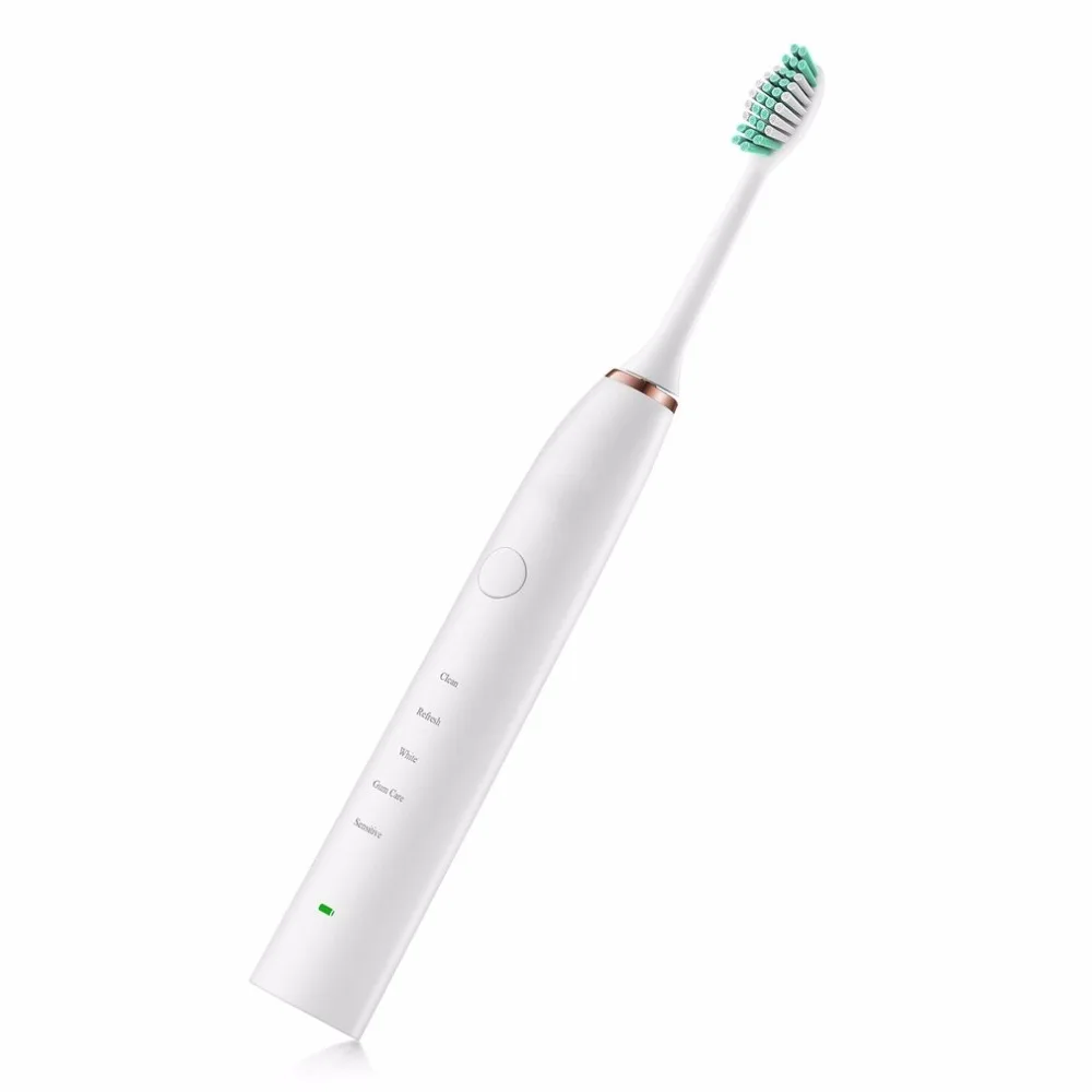 

Waterproof D6 Ultrasonic Electric Toothbrush USB Charge Rechargeable Tooth Brushes With 2 Pcs Replacement Heads Timer Brush