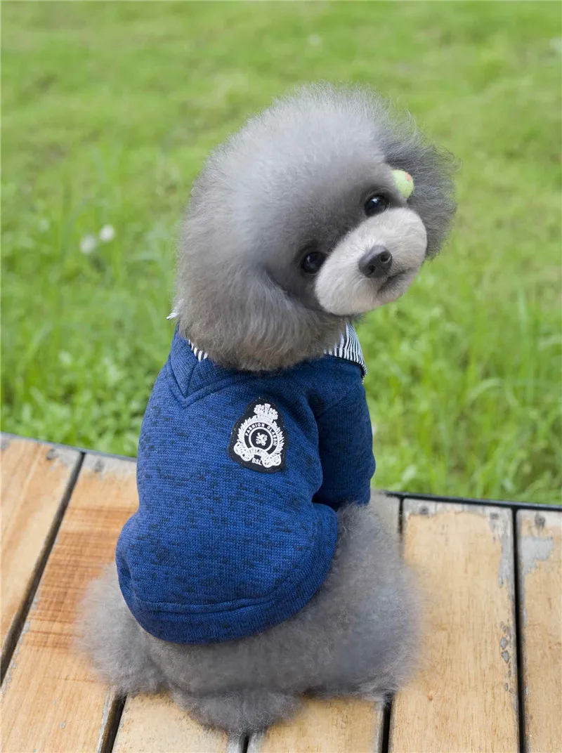 Модный свитер для собаки зимняя одежда для собак Одежда для собак для щенка чихуахуа теплая одежда товары для домашних животных