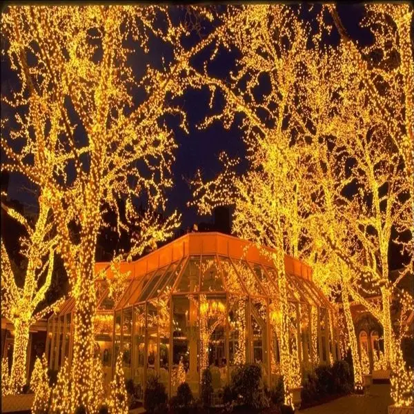 

328ft/100m 600 LED Christmas Lights String Fairy Lights Indoor Outdoor USA Party Wedding Decoration Christmas String lights