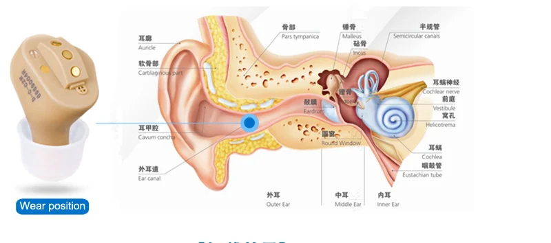 2019 медицинский продукт Горячая продажа цифровой перезаряжаемый слуховой аппарат из Гуанчжоу Feie S-51