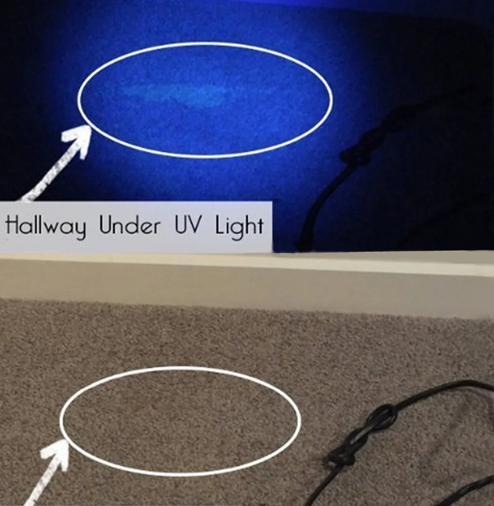 365nm uv light test (2)