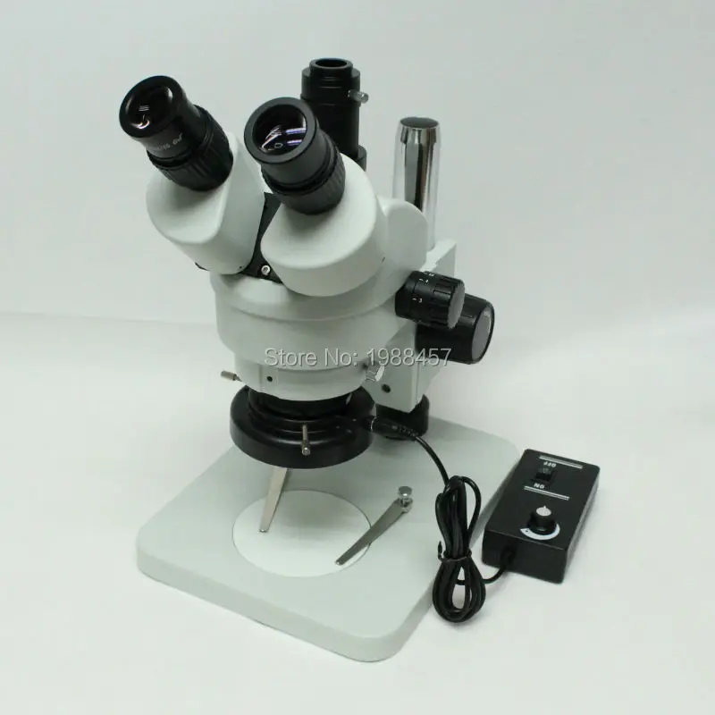 45T1 (2)