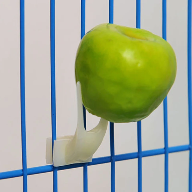 New Design Bird Feeder Plastic Fruit Fork Veterinaria Hang On Bird