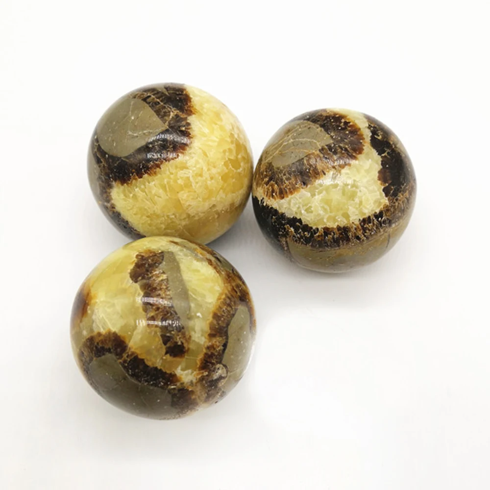 10589431531_558359516