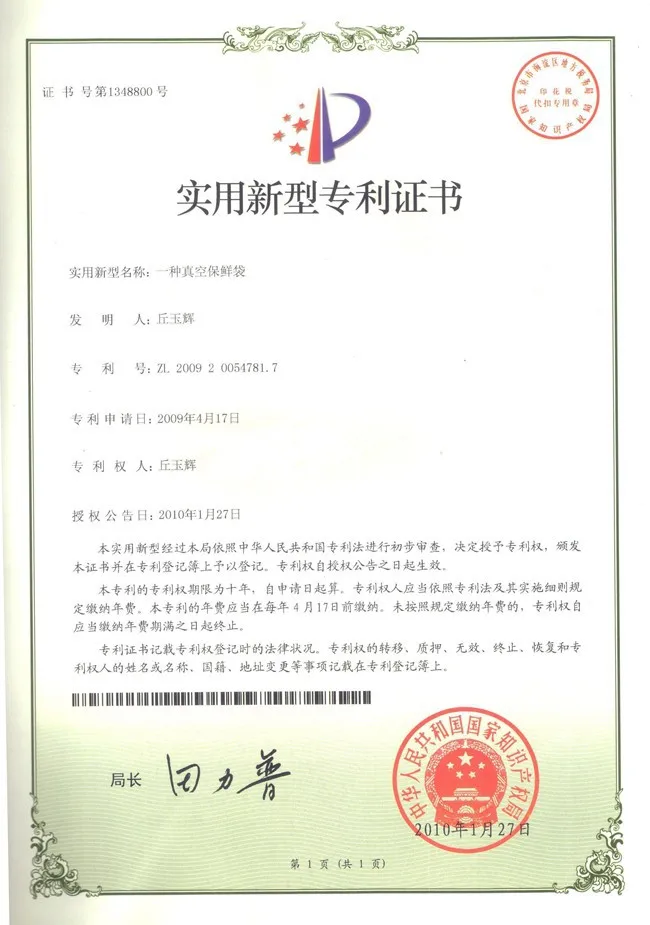 Patent for bag 2009