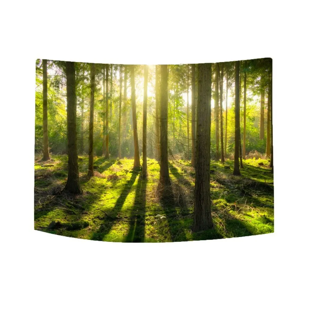 Tapestry Hanging,Sunshine and Woodland Wall Tapestries Nature Wall Art Living Dorm Room Accessories Decor|tapestry wall|tapestry wall hangingwall - AliExpress