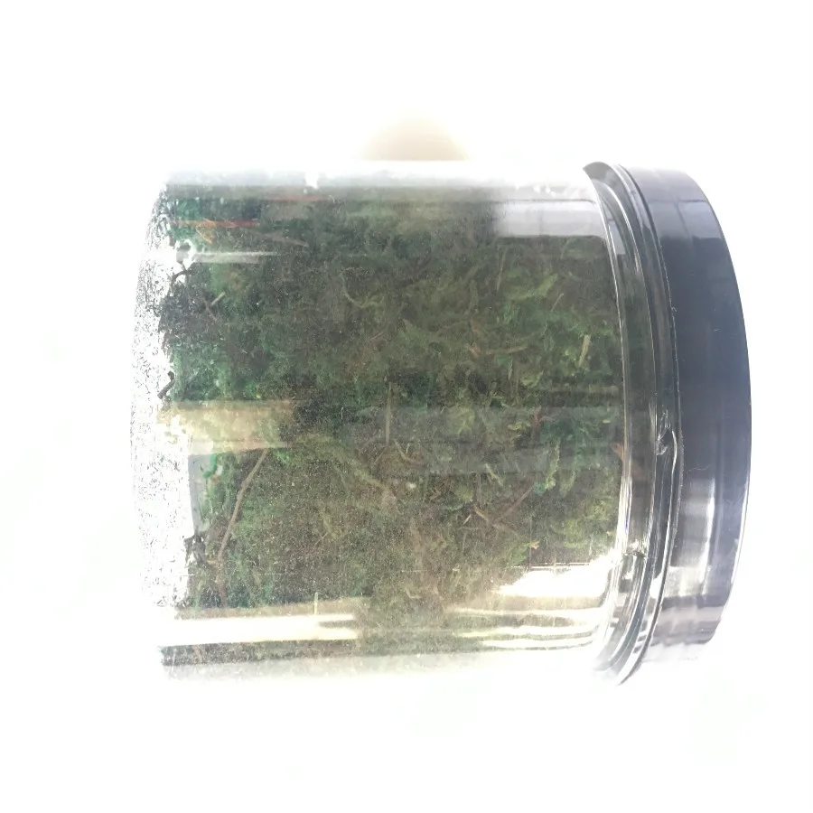 architecture model building kits grass (13)