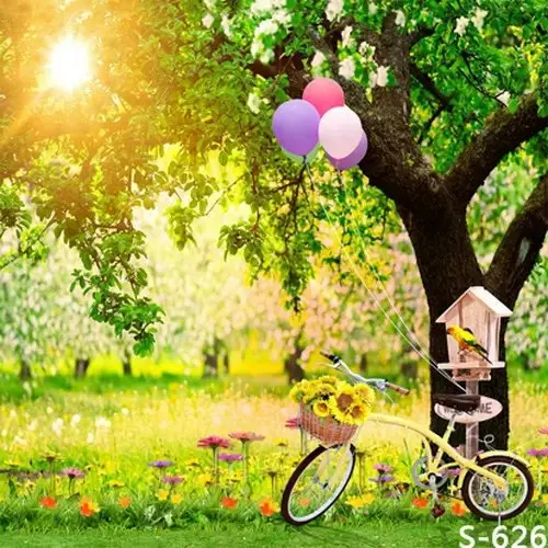 Parque de Bicicletas Globos Fotografía de Estudio de Fondo