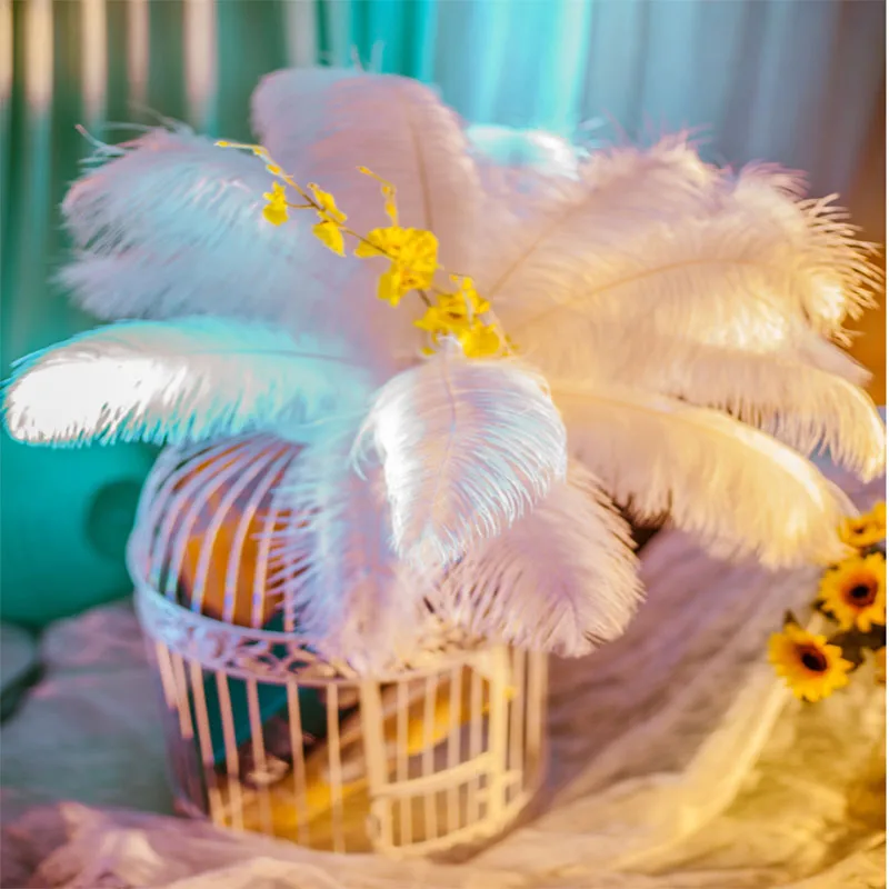 10 шт. натуральные изделия перья страуса пары 15-70 см DIY белые перья для изготовления ювелирных изделий Свадебные украшения для домашней вечеринки
