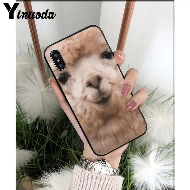 Yinuoda лама Alpacas животное умный чехол черный мягкий чехол для телефона для iPhone X XS MAX 6 6S 7 7plus 8 8Plus 5 5S XR - Цвет: A10