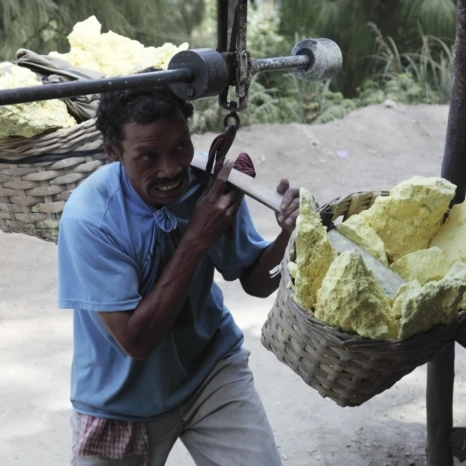 Miner attaches sulphur load to weighing station  Kawah Ijen volcano  Java  Indonesia Poster Print (34 x 22)