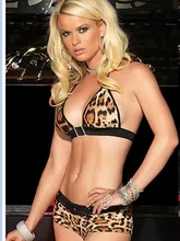 bikini sexy babydolls for women open bust purple mesh transparent faux leather sex dress hot sale sexy lingerie leopard porn