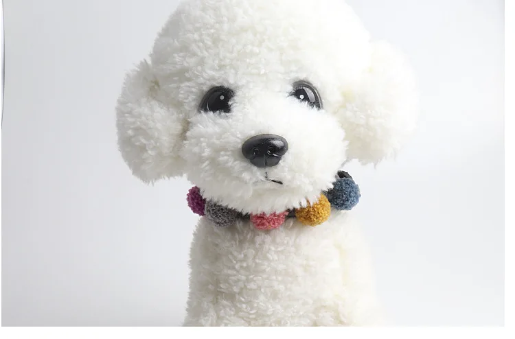 9536509142_307791824 (1)