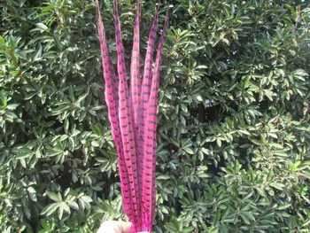 

2015 Hot! Rose 50pcs / lot natural Pheasants feathers, 20-22 "/ 50-55cm DIY jewelry, art performances props Accessories