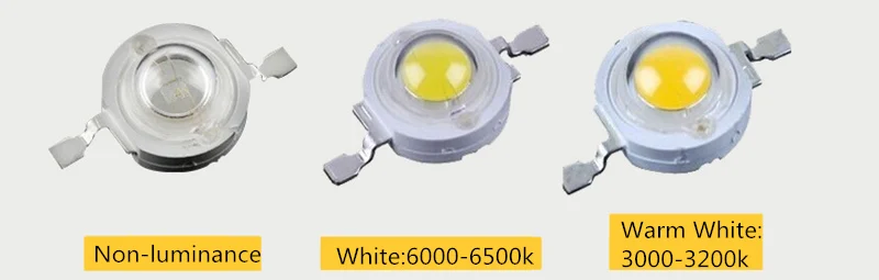 3076962682_146735466