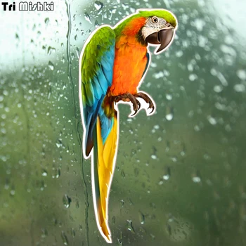 

Tri Mishki WCS057 10*23cm colorful Macaw PVC car sticker funny auto automobile decals car stickers