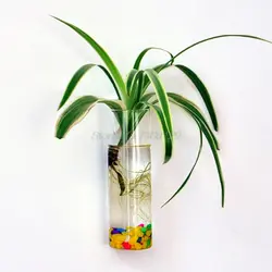 Настенное стекло цветочный горшок ваза горшок Террариум домашний садовый декор Прямая поставка