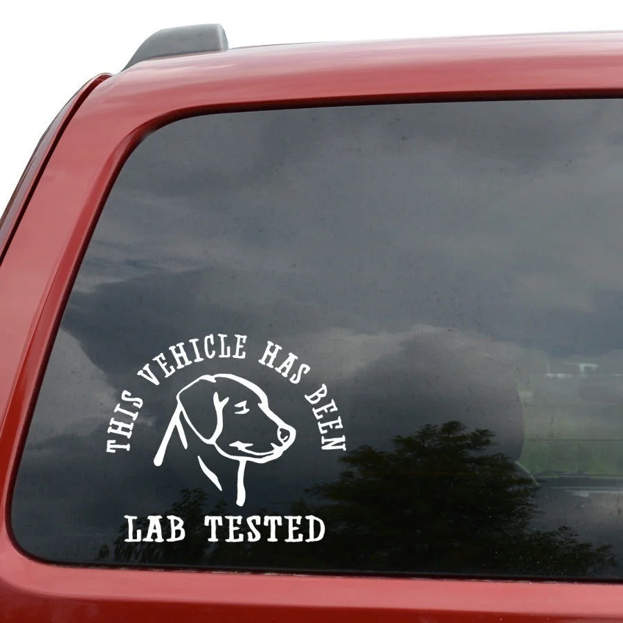 This Vehicle Has Been Lab Tested Labrador Dog Vinyl Decal Sticker 20cm