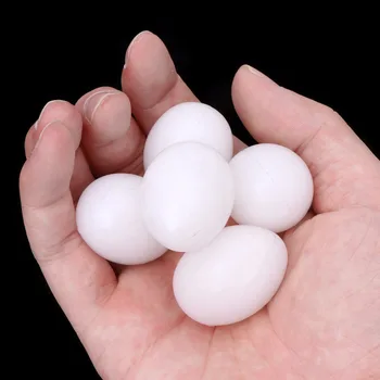 5pcs/lot Bird Supplies Pigeon False Eggs Filled Plastic Solid Simulation Egg For Hatch Breeding Supplies 1